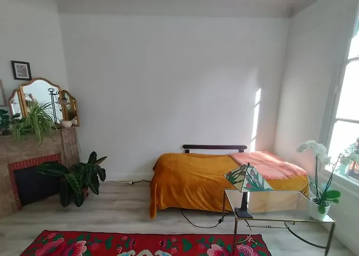 Appartement T3 Lumineux Et Cosy