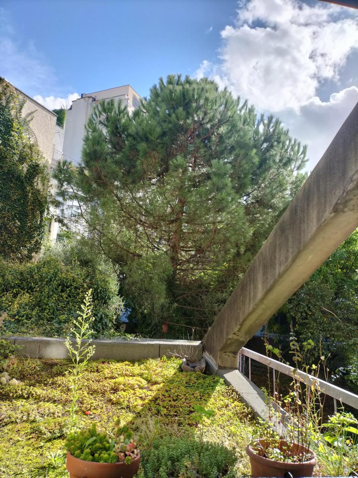 T3 Lumineux Et Cosy Apartment